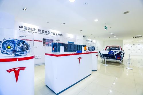 管中窺豹 上海超級工廠主題展登陸山城，揭秘特斯拉硬核科技與重慶心理咨詢跨界融合